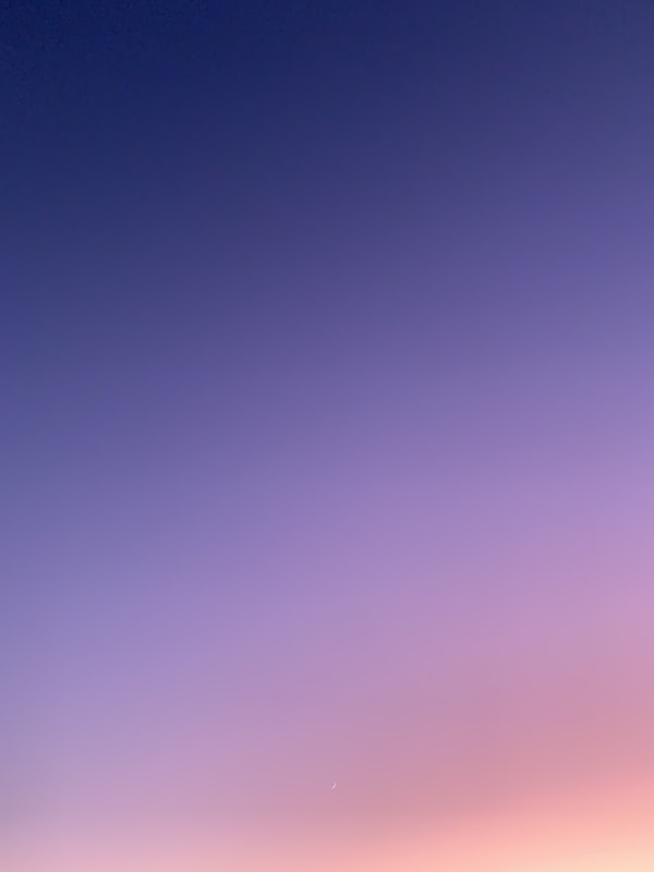 Precious Metal Recovery